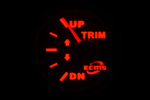 Указатель трима для лодки ECMS PMM2-BS-0-190