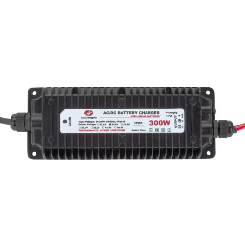 Зарядное устройство для литий-ферумных аккумуляторов 14.6V 20A Wengao WG-12C300S