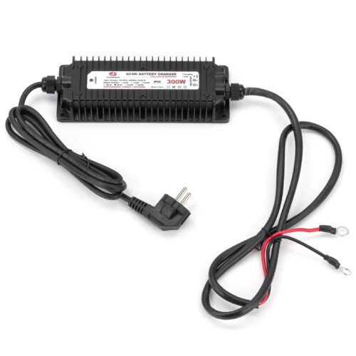 Зарядное устройство для литий-ферумных аккумуляторов 29.2V 10A Wengao WG-24C300S