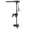 Лодочный электромотор Haswing Protruar 1.0 65 новый дизайн 58463