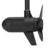 Лодочный электромотор Haswing Protruar 1.0 65 новый дизайн 58459
